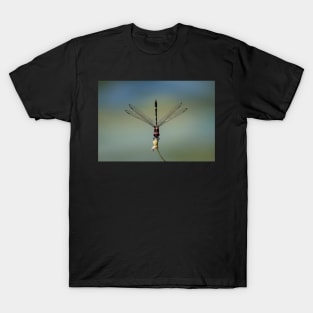 Perched T-Shirt